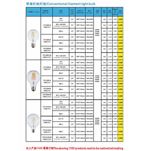 Conventional Filament Light Bulb