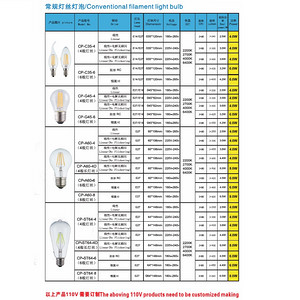 Conventional Filament Light Bulb