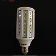 LED Corn Light