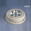 Circular LED Sensor Light