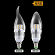 Silvery Pointed Bulb