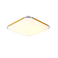 Ceiling Lamp,Household Lighting