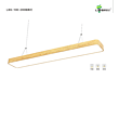 LBS-100-200 line light