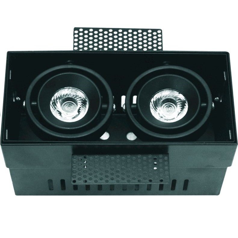 LED dual-head spot light