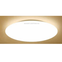 Dicken modern common LED ceiling light