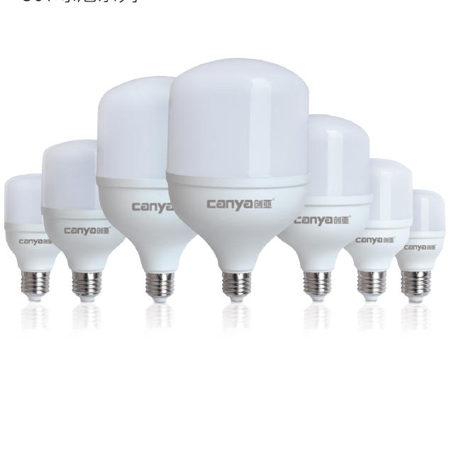 SMD LED bulb