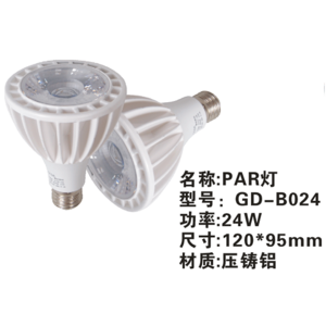 PAR lamp GD-B024