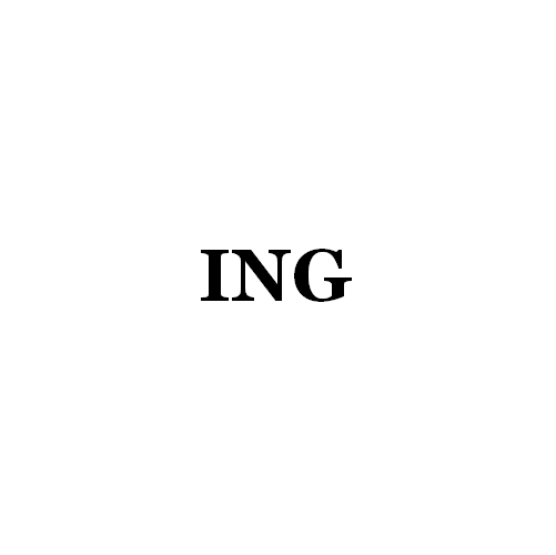 ING  Lighting Technology Co., Ltd.