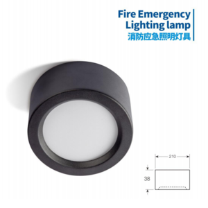 Guanan cold-rolled steel emergency lighting fixture