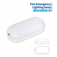 Guanan oval fire emergency luminaire