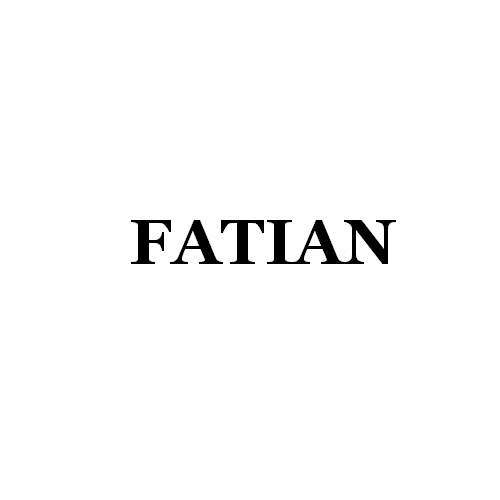 FATIAN lighting Electrical Appliance Factory