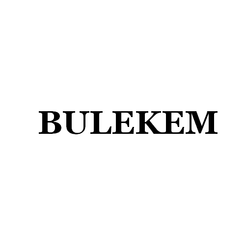 Bulekem(Shenzheng)New Energy Technology Co.,Ltd