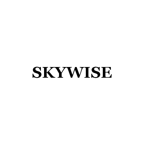 Qingdao Skywise Technology Co., Ltd