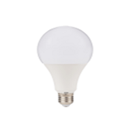 household LED bulb