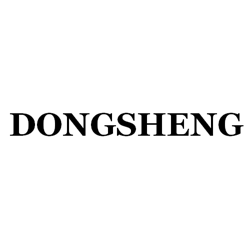 Dongsheng Lighting