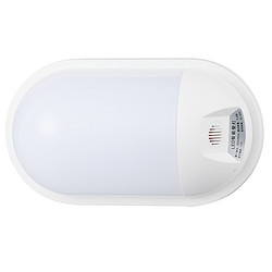 Voice control wall lamp