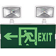 LED dual-head emergency light