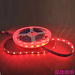 Red Light low-voltage stable decorative super-bright patch lamp strip lights