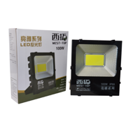 Floodlight 100W