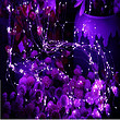 Purple Light LED Decorative Vine Lamp