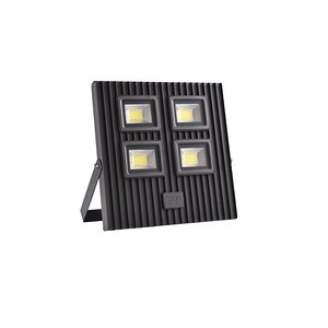 200W high brightness 140lm/w IP67 led floodlight