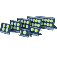 Multiple-power Outdoor Floodlight