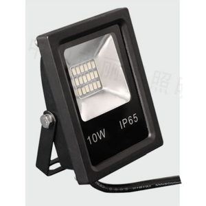 10W Floodlight