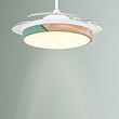 Simple Warm Green and Wooden Edge Fan Light