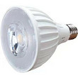 LED down lamp