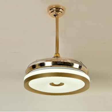 modern household fan lamp.