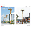 Zhonghua lamp series high pole outdoor street lamp