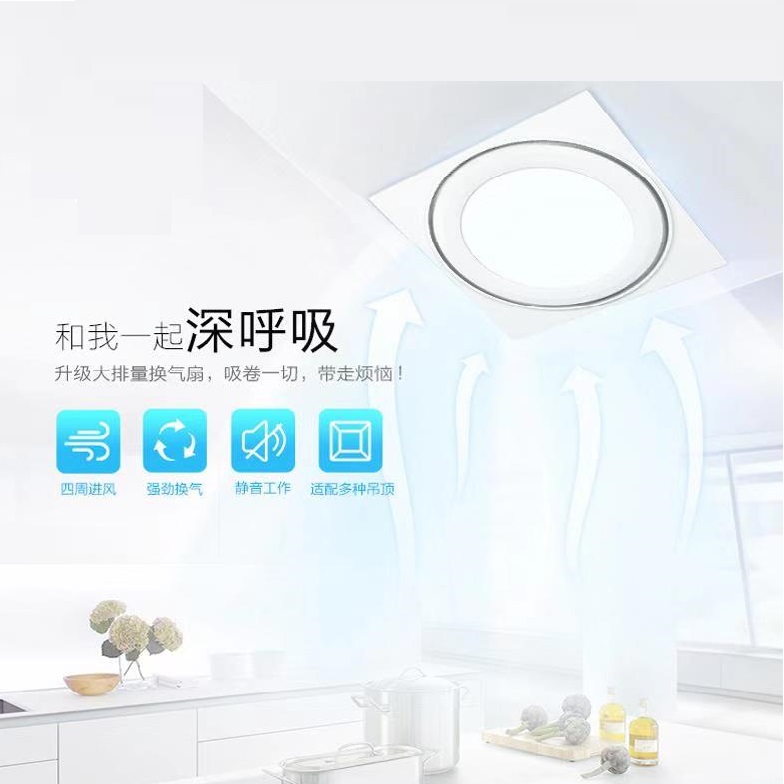 Indoor Bright Ceiling Silent Strong Ventilation Fan Lamp