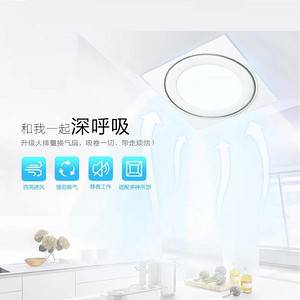 Indoor Bright Ceiling Silent Strong Ventilation Fan Lamp