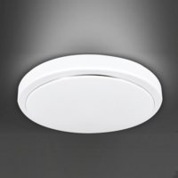 Simple White Circle Ceiling Lamp