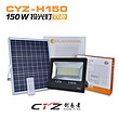 Solar Light/Outdoor/Floodlight