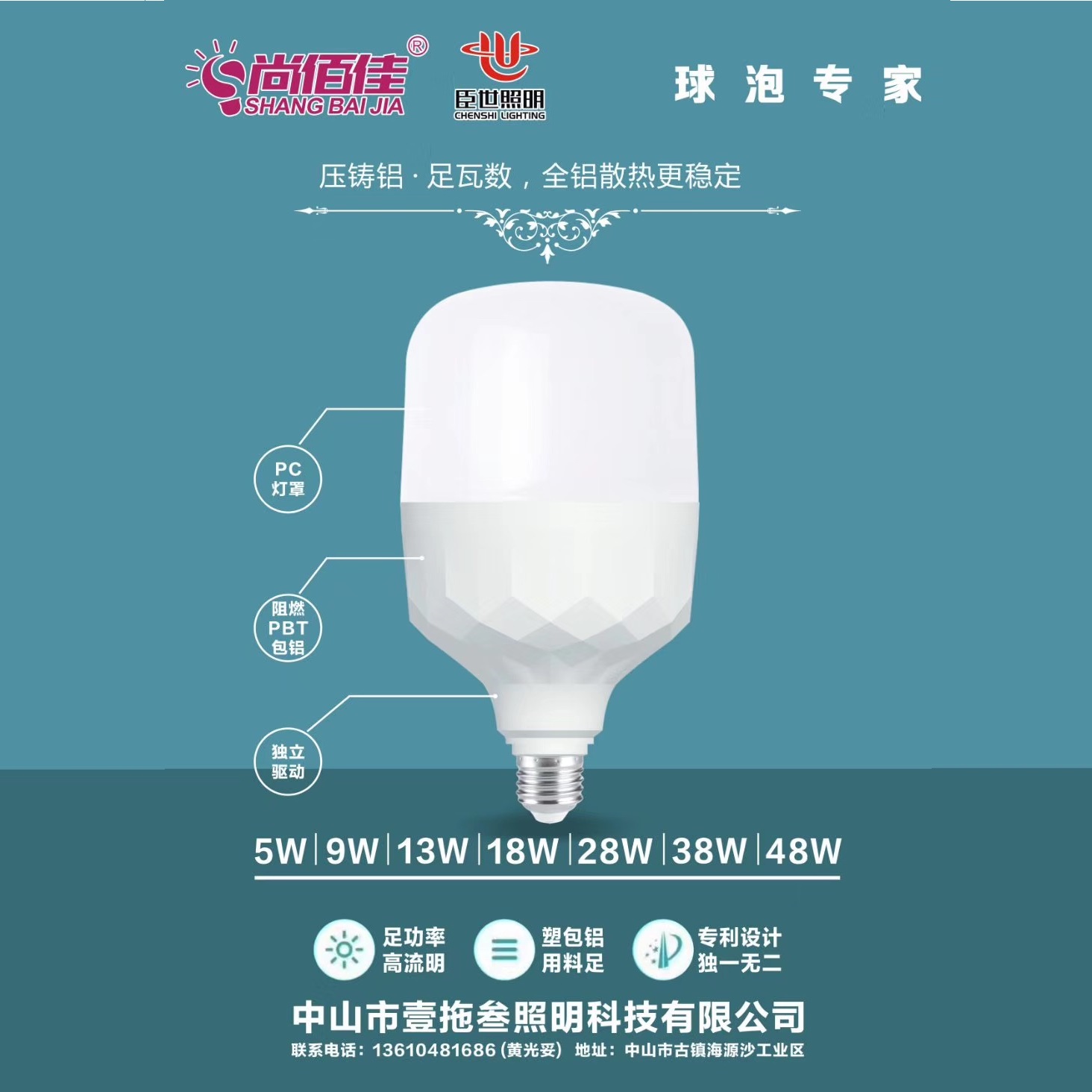 die cast aluminum LED bulb