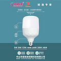 die cast aluminum LED bulb