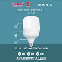 die cast aluminum LED bulb