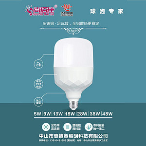 die cast aluminum LED bulb