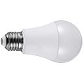 OEM bulb