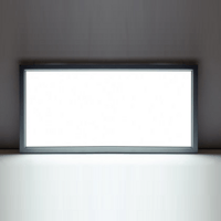 Durable energy-saving high brightness flat panel lamp