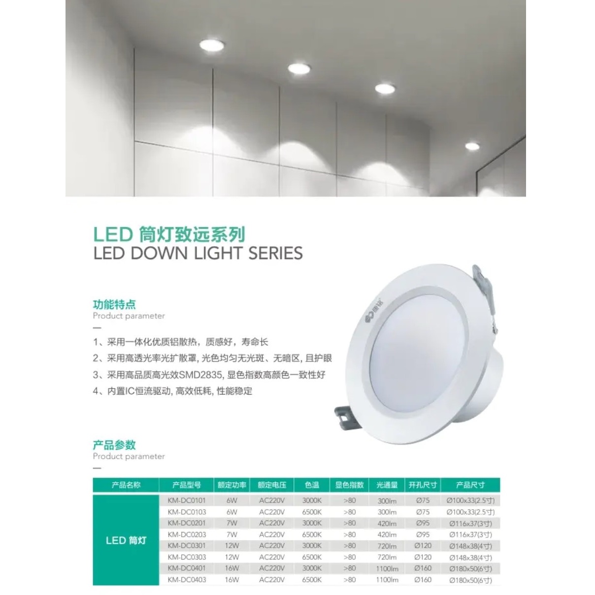 LED down light Zhiyuan series