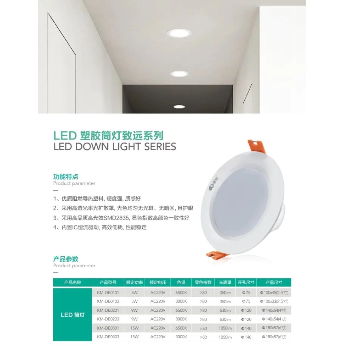 LED plastic down light Zhiyuan series