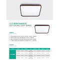 LED ceiling light Canyun series