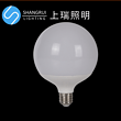 LED Bulb,LED Lighting & Technology,Big Globe,15W,20W