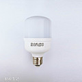 Household white light bulb