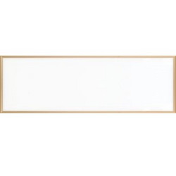 Panel Light,special,Golden edge,LED,Rectangle