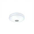 White intelligent remote control ceiling lamp