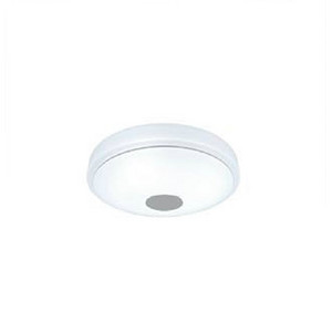 White intelligent remote control ceiling lamp
