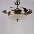 Chandelier,modern,Fleshcolor,LED,circular,Hollow,electric fan,brown